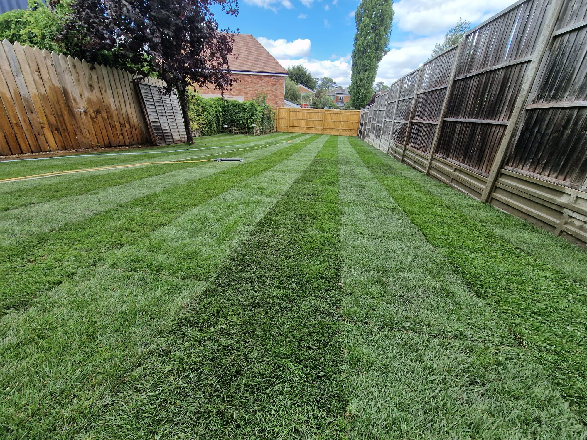 Garden Landscaping & Lawn